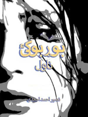 بوړبوکۍ - ناول