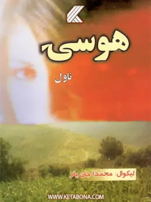 هوسۍ - ناول