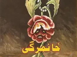 ځانمرګی ناول