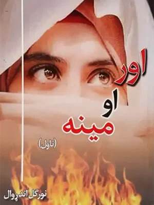 پښتو کتابونه ناولونه - اور او مینه ناول