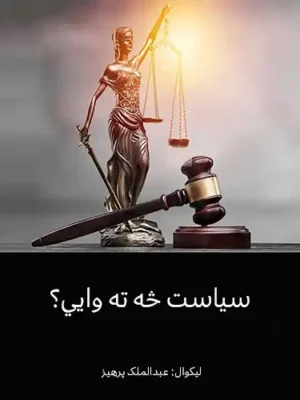 پښتو کتابونه - سیاست څه ته وایی؟