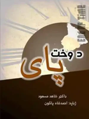 پښتو کتابونه - د وخت پای