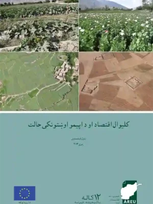 د پښتو اقتصاد کتابونه - د کلیوال اقتصاد او د اپیمو اوښتونکی حالت