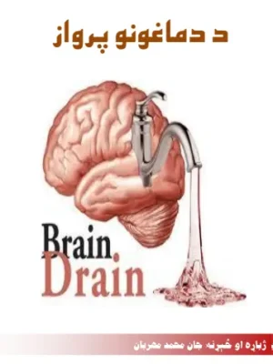 د افقتصاد کتابونه - ددماغونو پرواز